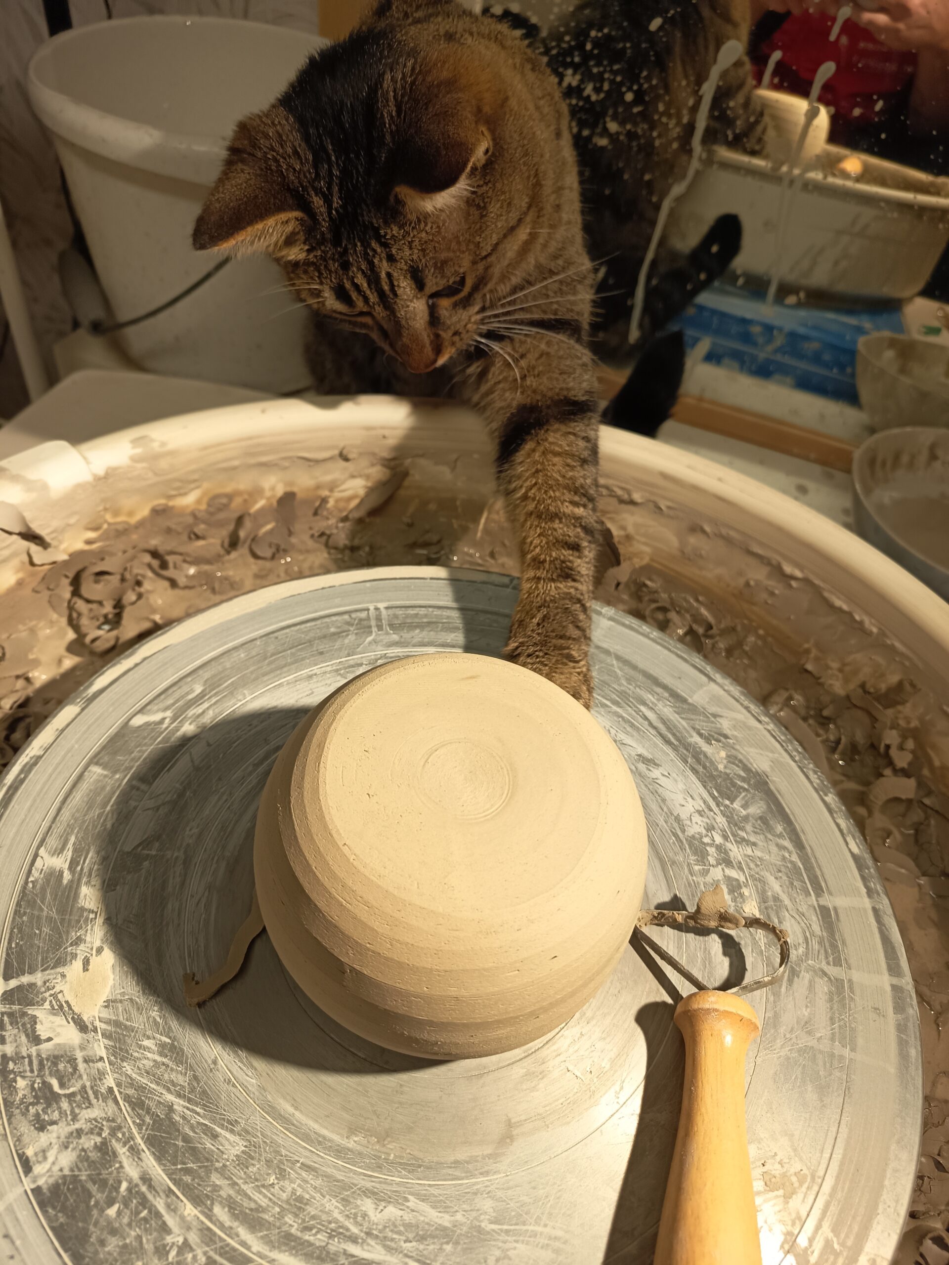 Ateliers IMG 20251114 174749 Scaled